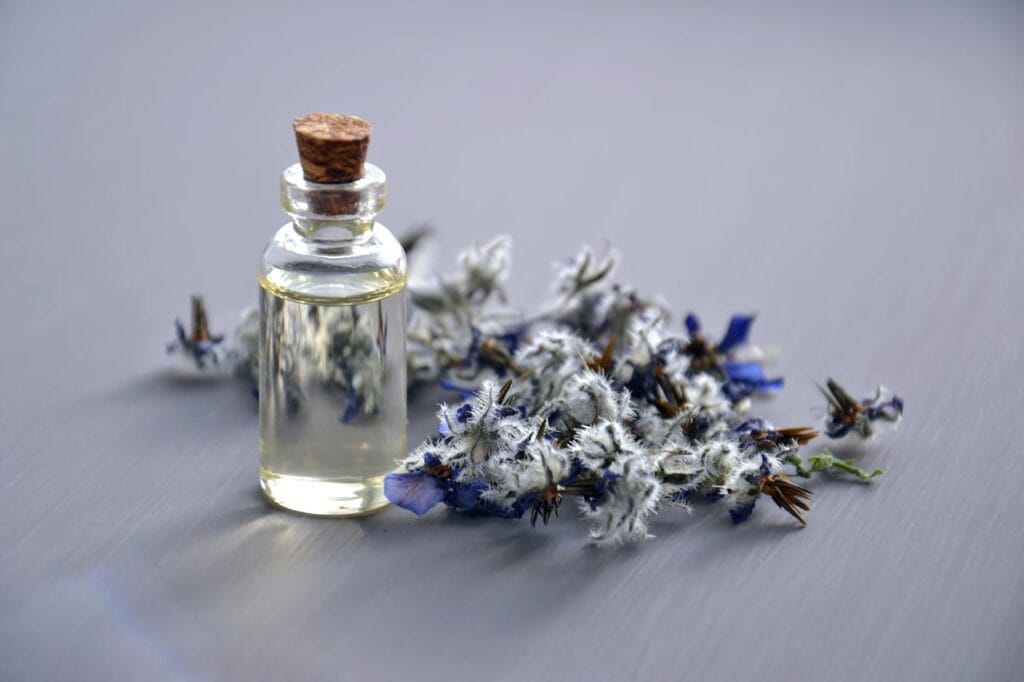 Lavender and essential oil bottle