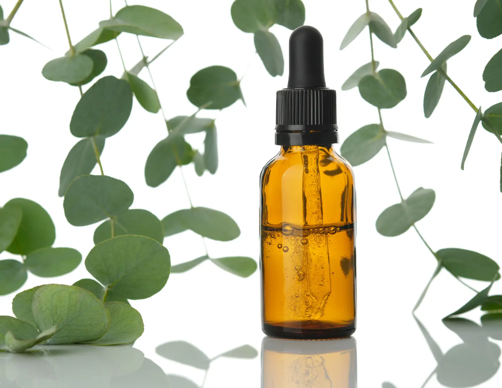 Amber dropper bottle with eucalyptus leaves